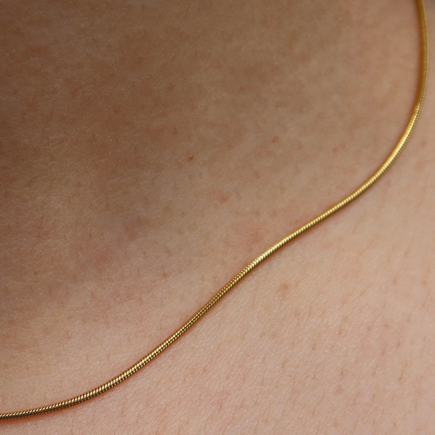Snakebone Chain from ShopEternidad.com Affordable 18K Gold Plated Jewelry